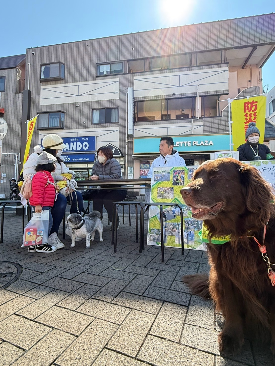 2025年3月のワンちゃんの防災ブース